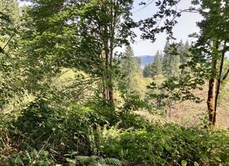 0 Fern Hill Rd Unit 220173441, Saint Helens, OR 97048