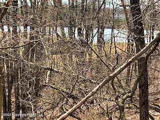 213 Clearview Rd, Long Pond, PA 18334