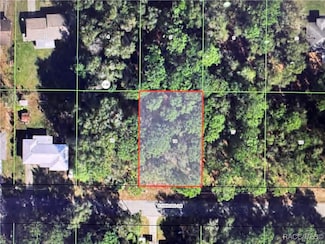 6633 E Harold Ln, Inverness, FL 34452