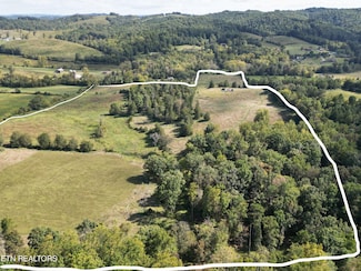 317 Singleton Hollow Rd, Speedwell, TN 37870