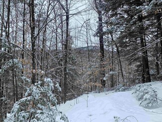 0 Jenks Hill Rd, Bartlett, NH 03838