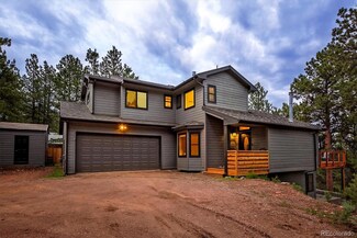 33504 Freda Rd, Pine, CO 80470