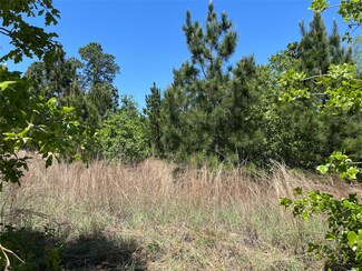 LOT 635 Mahalo Ct, Bastrop, TX 78602