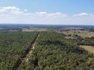 2896P08 County Road 2626, Wells, TX 75976