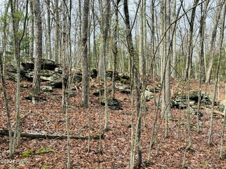 797 Tink Wig Dr, Lackawaxen Township, PA 18428