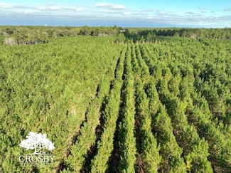 Tbd Old Shop Rd, Waycross, GA 31503