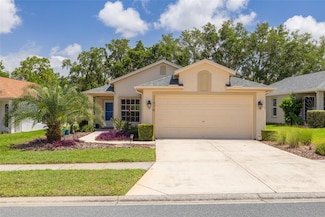 11078 Heathrow Ave, Spring Hill, FL 34609