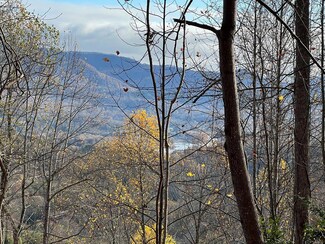 TR 1 Hidden Summit, Hiawassee, GA 30546
