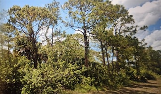 8008 Rolling Cir, Port Labelle, FL 33935