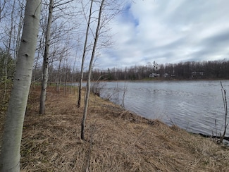 Lot #252 Sunridge Dr, Lakes of the North, MI 49730