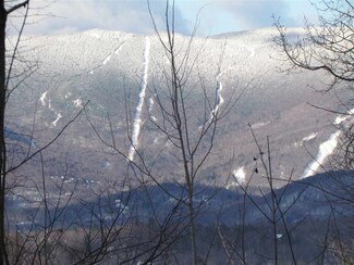 1037 Roxbury Mountain Rd, Warren, VT 05674