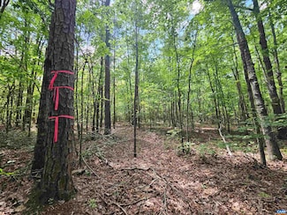 TBD W James Anderson Hwy, Gladstone, VA 24553