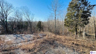 179 Tules Creek Loop, West View, KY 40178