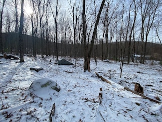 Lot 2R &3 Chapin Rd, Hampden, MA 01036