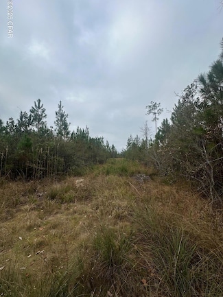 00 Florida 71, Blountstown, FL 32424