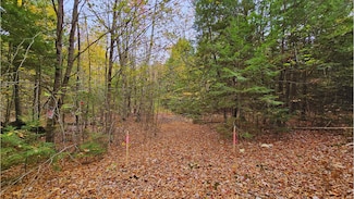 009-007 Lilly Dr, Newport, ME 04953