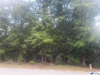 TBD Dogwood Ave, Darlington, SC 29532