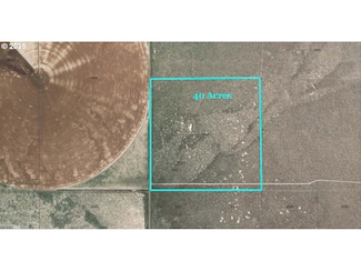 0 Lost Forest Ln Unit 5300 647181396, Christmas Valley, OR 97641