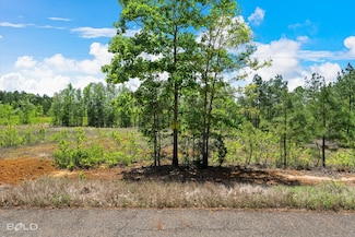 250 Martin Rd, Plain Dealing, LA 71064