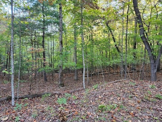 0 N View Dr Unit 409647, Mineral Bluff, GA 30559