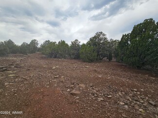 0 Cr N3100, Vernon, AZ 85940