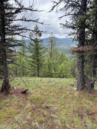 1444 Haskill Ranch Rd, Kila, MT 59920