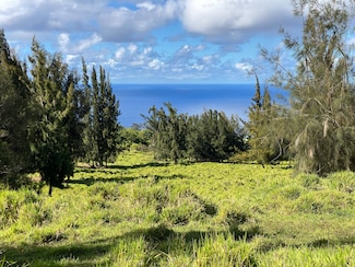 44-43 Paauhau St, Honokaa, HI 96727