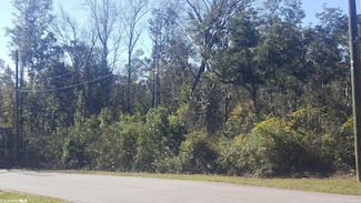 2062 Clubhouse Dr, Lillian, AL 36549