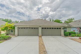 31912 Turkeyhill Dr, Wesley Chapel, FL 33543