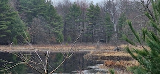 0 Elker Rd, Humbird, WI 54746