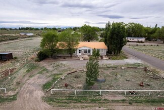 12464 Johnson Rd, Alamosa, CO 81101