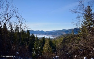 NKA E Eagle Peak Rd, Cataldo, ID 83810