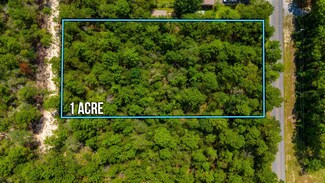 Lot 10 Vía Internacional, Defuniak Springs, FL 32435