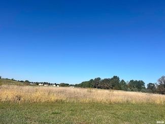 Lot 82 Kyle Ct, Metamora, IL 61548