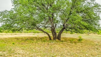Lot 3 County Road 332, Blanket, TX 76432