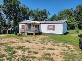 10725 Middle Coaling Rd, Coaling, AL 35453