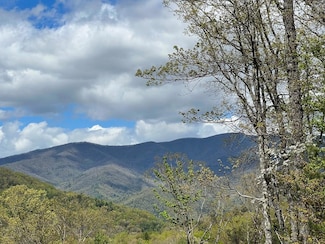 33 35 36 Ash Branch Cir, Hayesville, NC 28904
