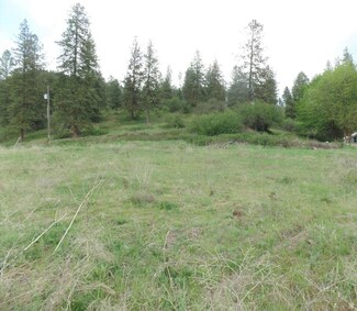 2XX Highway 395 N, Colville, WA 99114