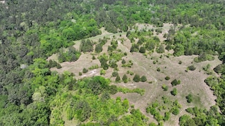 TBD-3 Felix Currie Rd, Point Blank, TX 77364