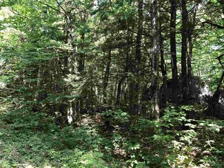 0 Paul's Place, Enfield, NH 03748