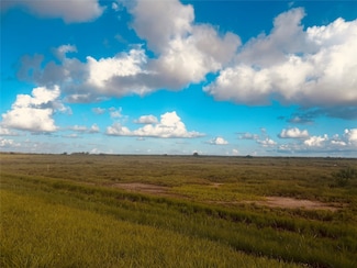 0-4.988 acres Farm To Market Road 2918, Brazoria, TX 77422