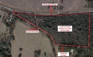 13 Acres Fm 2455, Pittsburg, TX 75686