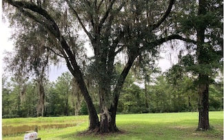 161 SW Challenger Ln, Lake City, FL 32025