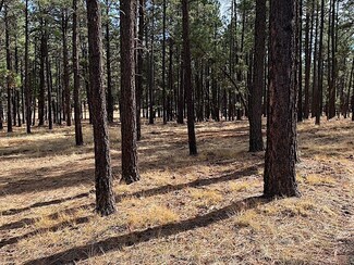 1 Cr N2121, Alpine, AZ 85920