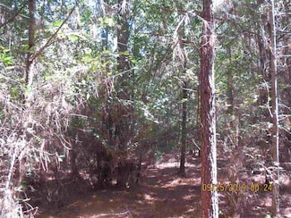 0001 Rural Coleman, Monticello, AR 71655