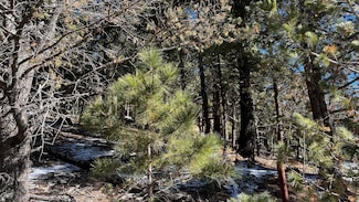 123 Canyon Trail Unit 1, Cloudcroft, NM 88317