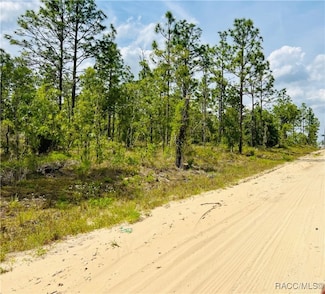 0000 NE 132 Terrace, Williston Highlands, FL 32696