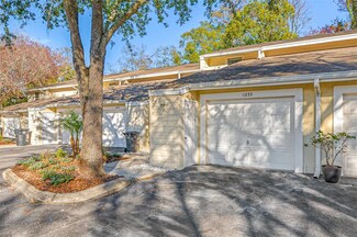 11233 Cedar Hollow Ln, Tampa, FL 33618