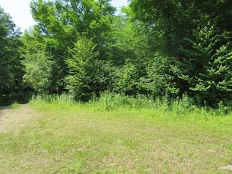 0 Kimball Camp Rd Unit 24079372, Orwell, NY 13426