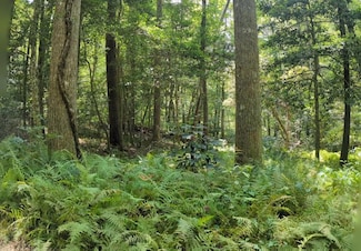 620 Blackberry Ln, Clarkesville, GA 30523